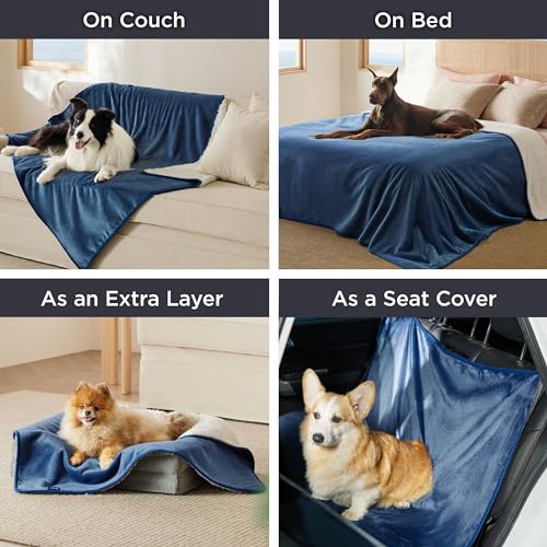 Bedsure Cat Blanket for Indoor Cats - Waterproof Calming Cat Blankets for Couch Protection, Sherpa Fleece Pet Blanket, Soft Plush Reversible Throw Furniture Protector, 40"x30", Blue - color: Blue, size: M(30x40")