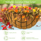 Riare 6 Pack 14 Inch Round Coco Liners Replacement, 100% Natural Coconut Coir Liners for Hanging Baskets, Garden Flower Vegetables Planter Pot, Window Box, Fence, Decks - size: 14inch