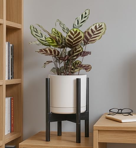 D'vine Dev Ceramic Planter with Ebony Stand - 8 Inch Modern Round Flower Pot with Wood Planter Holder, Oatmeal, 55-B-M-8 - color: Oatmeal Pot + Ebony Stand, size: 8 Inch