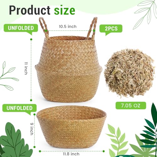 Knitgrip Large Wicker Plant Basket with Handle 10 Inch Woven Seagrass Belly Basket and Artificial Moss for House Plants Picnic Grocery Laundry Storage Home Decor(Large,Original,2 Pack) - color: Original, size: Large