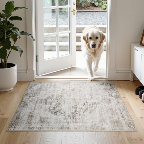 2'x3' Rugs for Living Room Bedroom, Washable Area Rugs, Pet & Kid Friendly Low Pile Carpet, Non-Shedding Non-Slip TPE Backing, Vintage Distressed Print Floor Mat for Bedroom Dining Room, Brown - color: Brown, size: 2x3