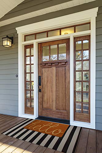 DII Hello Coir Fiber Doormat Non-Slip Durable Outdoor/Indoor, Pet Friendly, 18x30, Pumpkin Spice - color: Pumpkin Spice