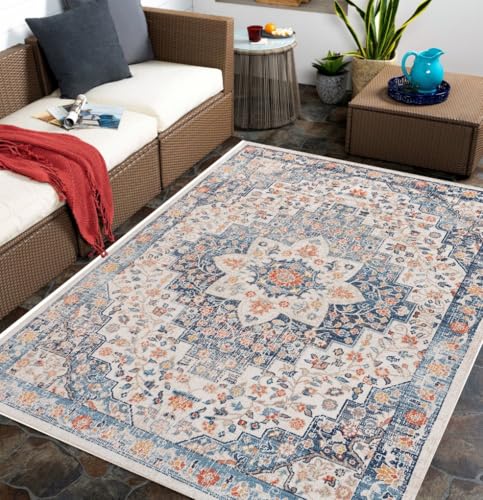 Oriental Distressed Beige Blue 2x3 Boho Rug for Living Room Bedroom Diningroom Playroom Large Washabel Area Rugs Rustic Non Slip Thin Office Kitchen Indoor Outdoor Carpet Mat - color: E, size: 2x3ft