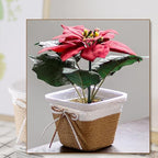 Ochine Small Plant Basket for Plants, Modern Storage Basket Decorative Natural Rope Basket, Flower Pot Table Indoor Planters, Small Storage Organizer Basket Rustic Home Decor