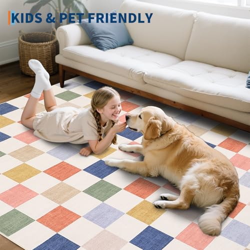 GarveeHome Checkered Colorful Rainbow Small 2x3 Washable Rug Door Mat Geometric Modern Soft Low-Pile Stain Resistant Kids Rug for Entryway Bedroom Bathroom Kitchen Non-Slip TPE Backing - color: Colorful, size: 2' x 3' (Rectangular)