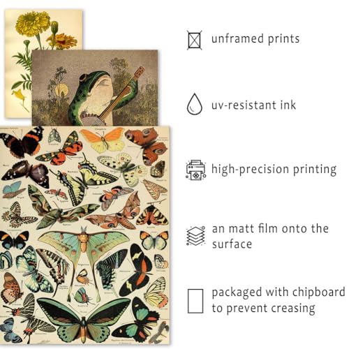ANERZA 16 PCS Vintage Wall Art Decor, Botanical Cottagecore Wall Collage Kit for Bedroom, Farmhouse Posters for Room Aesthetic, Wall Prints Pictures for Living Room, Rustic Dorm Gallery Home Decor - color: Drab, size: 11"x14" Unframed