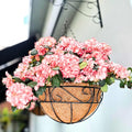 LaLaGreen Hanging Planter for Outdoor Plants (14 Inch, 4 Pack) Hanging Baskets with Coco Liner, Black Metal Wire Flower Basket Pots with Hook Hanger Balcony Porch Farmhouse Country Style Garden Decor - size: 14" x 4 Pack