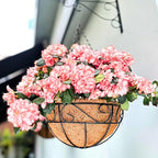 LaLaGreen Hanging Planter for Outdoor Plants (14 Inch, 4 Pack) Hanging Baskets with Coco Liner, Black Metal Wire Flower Basket Pots with Hook Hanger Balcony Porch Farmhouse Country Style Garden Decor - size: 14" x 4 Pack