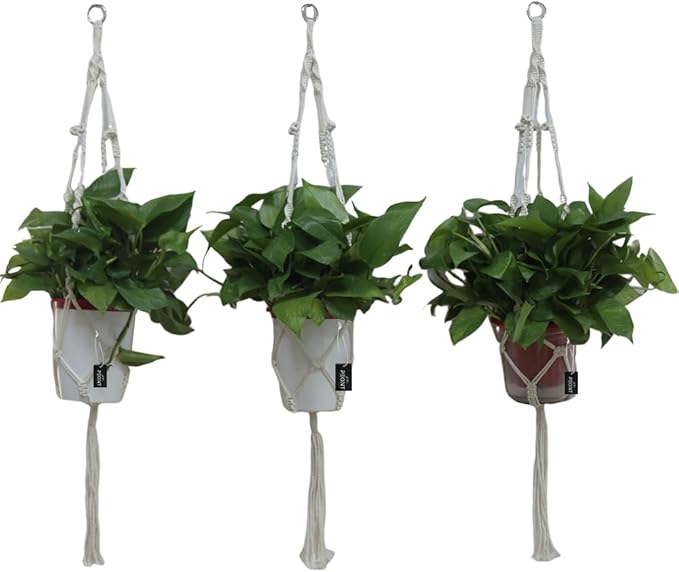 Macrame Plant Hangers Set of 3 – Handmade 39-Inch Indoor/Outdoor Hanging Planters in Ivory with Beads, Boho Home Decor for Pots up to 9 Inches (Pots Not Included)