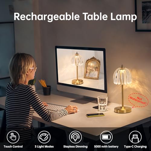 Shenmoyl Tulip Table Lamp with 5000mAh Battery & Touch Control, Cordless Table Lamp with 3 Colors, Dimmable Rechargeable Table Lamps for Bedroom, Nightstand, Living Room, Entryways (Transparent Tulip) - color: Transparent Tulip, size: 1 Pack