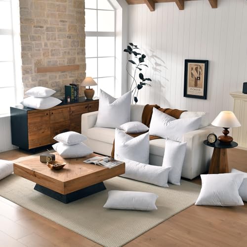 basic home® Hotel-Style Goose Feather Pillow Insert for Sofa & Bed - 100% Odorless & Plump Cushion Filler - 233TC Cotton with Inner Liner to Prevent Poking (22x22 Inch) - size: 22x22