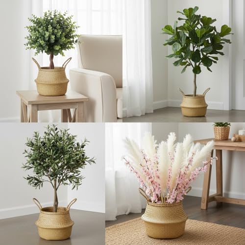 Qunclay 4 Pcs Woven Seagrass Baskets Belly Basket Folding Boho Natural Plant Pot with Handles Round Decorative Wicker Large Indoor Planter for Home Outdoor Tree Planters Decor (Xs,S,M,L) - size: XS,S,M,L