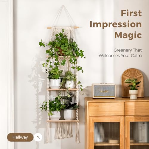 Bamworld Plant Wall Shelf Boho Plant Stand Window Plant Shelf 3 Tier Macrame Plant Hangers Boho Room Decor Hanging Shelf for Bedroom, Living Room, Balcony - size: 3Tier