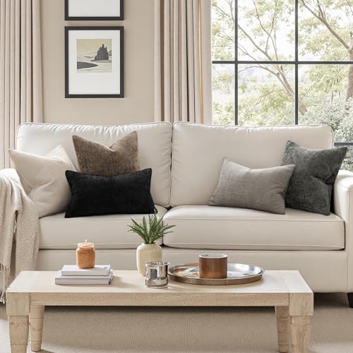MIULEE Pack of 2 Couch Throw Pillow Covers 18x18 Inch Brown Boho Accent Decorative Pillow Covers Soft Chenille Farmhouse Cushion Covers for Home Decor Bed Sofa Living Room - color: Brown, size: 18" x 18" (Pack of 2)