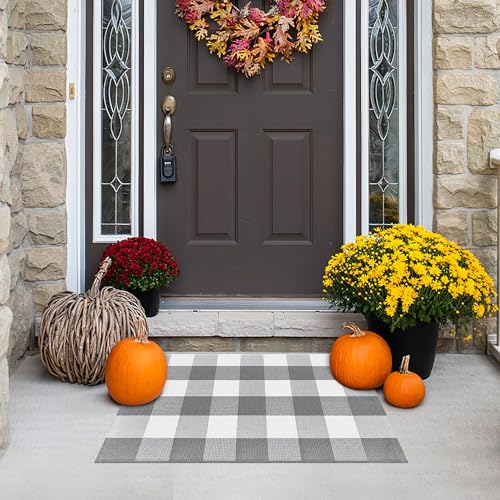 Buffalo Plaid Outdoor Rugs 2 x 3 Grey and White Rug, Front Door Mat Washable Small Throw Rug for Kitchen Entryway Patio Bathroom Farmhouse Decor Area Rug - color: Grey and White, size: 2‘×3’