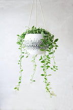 KiaoTime Ceramic Hanging Planter for Indoor Outdoor, Decorative Boho Flower Green Grass Plant Succulent Air Plants Hanging Plant Pots Holder