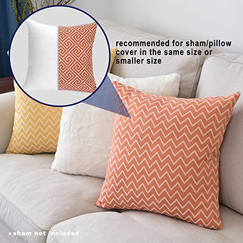 HITO 18x18 Pillow Inserts (Set of 2) - Down Alternative 100% Cotton Cover Decorative Square Throw Pillows White for Couch Bed Sofa - size: 18x18 Inch (Pack of 2)