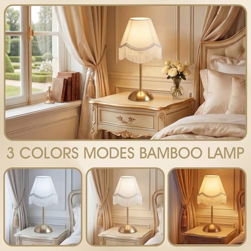 4 Pack Wedding Tassel Cordless Table Lamp Rechargeable Touch LED Small Gold Portable Battery Operated USB-c Desk Lamp 3 Color Dimmable for Wedding Birthday Outdoor Party Home - style: Tassel Bow