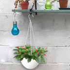 Srmayyi 4 Pack 8 inch Plastic Self Watering Hanging Planters,Round Hanging Basket Planter with Drainer and Metal Chain,White Garden Flower Plant Pot Container for Indoor Outdoor Plants - size: 4 pcs white
