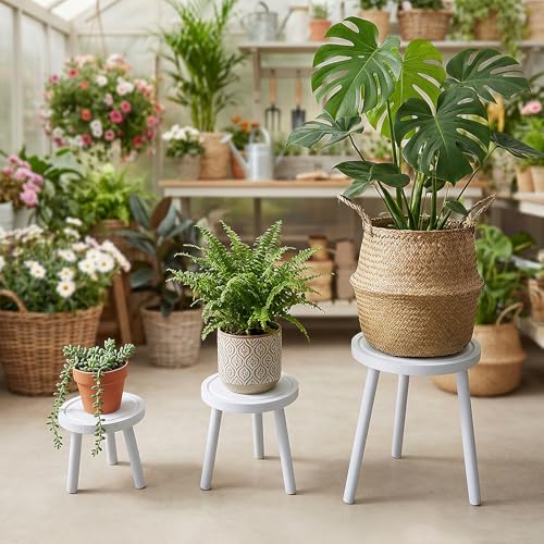 Amdermi 3-Pack Wood Plant Stands Indoor, Single Plant Stand for 6-12 Inch Pots, Mid-Century Modern Plant Stool, Tall Plant Stand for Large Plants for Living Room, Balcony, Office (White) - color: White