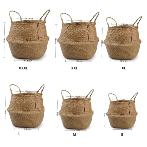 Large Woven Seagrass Belly Basket for Plant, Grocery, Picnic, 12" Diameter x 14" Height - size: XXL (12" D x 14" H)