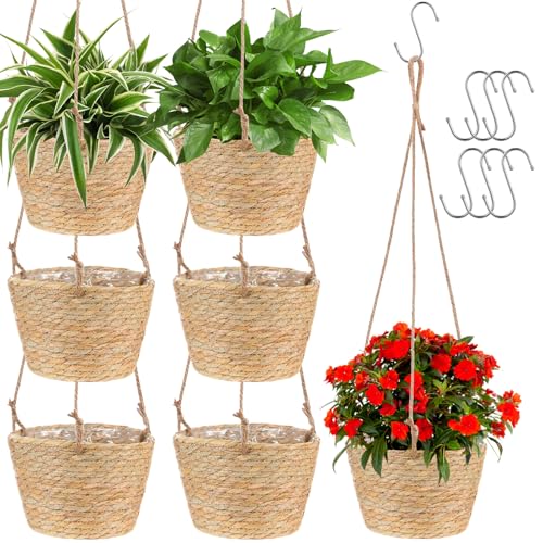 6 Pcs Seagrass Hanging Planter Basket Hand Woven Plant Basket with Plastic Liners Hanging Plant Holder Storage Containers with Cotton Rope for Indoor Garden Decor (Medium,Brown) - color: Brown, size: Medium