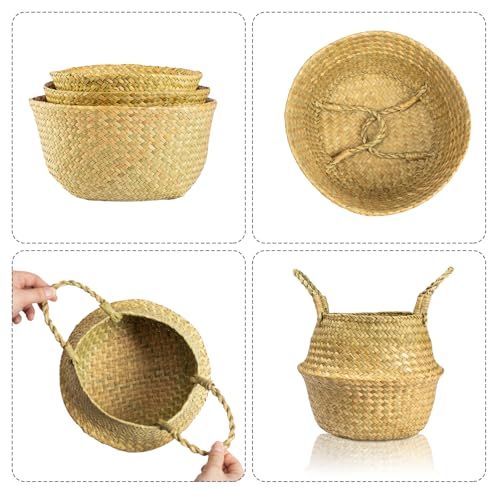 Seagrass Plant Basket with Handles Set of 3 - Woven Belly Basket Planter with Liner for Indoor Plants, Olive Tree, Monstera, Snake Plant, Faux Tree, 8" 9" 10" 12 Inch Pots, Boho Floor Basket