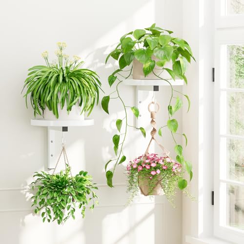 iDavosic.ly Wall Plant Holder Set of 2 for Indoor Outdoor, Metal Hanger with 2 Hooks, Floating Flower Display Stand for Window, Space Saving & Easy to Assemble (Pots/Chains/Plants Not Included), White - color: White, size: 2 Pack