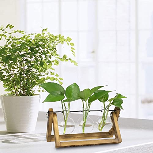 Kingbuy Desktop Glass Planter Iron and Wooden Stand Plant Terrariums for Indoor Office Desk Decor Accessories, 3 Bulb Vases, Brown - size: 3 Bulb Vase (C-type)
