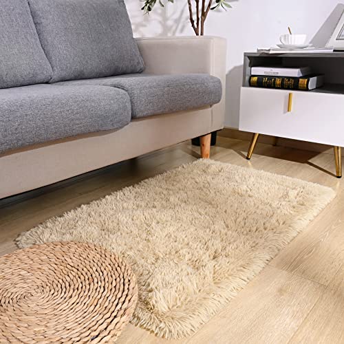DETUM 2x3 Rug Small Beige Rug Fluffy Rugs for Bedroom Kicthen Entryway Hallyway Washable Area Rug Super Soft Throw Carpet Plush Rugs for Kids, Light Tan - color: Light Tan, size: 2 x 3 feet