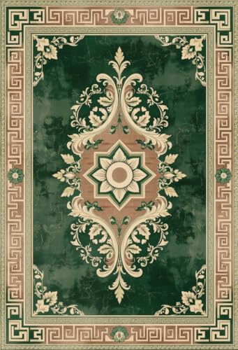 Modern Greek Key Texture Green and Brown Rug 2x3 Vintage Abstract Floral Rugs for Living Room Bedroom Nursery Classroom Guestroom Large Carpet Under Dining Table Soft Comfort Low Pile Mats - color: A, size: 2x3