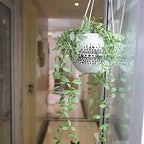 KiaoTime Ceramic Hanging Planter for Indoor Outdoor, Decorative Boho Flower Green Grass Plant Succulent Air Plants Hanging Plant Pots Holder