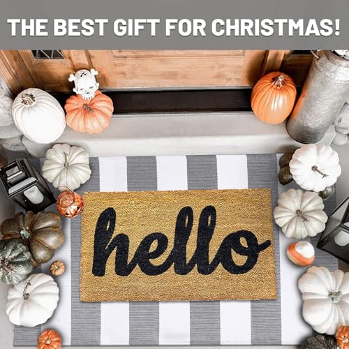 IOHOUZE Grey White Striped Rug -27.5" X 43" Front Door Mats Outdoor,Washable Rug for Front Porch Decor,Spring Summer Welcome Mats Outdoor Indoor, Doormat for Farmhouse/Entryway/Home Entrance - color: Grey White Stripe, size: 2'4" x 3'8" (Rectangular)