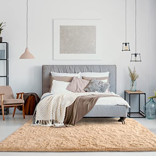 Jelymark Super Soft Shaggy Rug for Bedroom, 4x5.9 Fluffy Carpet for Living Room, Fuzzy Indoor Plush Area Rug for Home Decor, Furry Floor Rugs for Dorm, Cute Kids Nursery Rug for Girls, Beige - color: Beige, size: 4' x 6' (Rectangular)