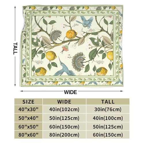 Lemon Throw Blanket for Couch Chair Sofa Bed, Flannel Soft Watercolor Summer Fruits Paisley Floral Bird Vintage Blanket for Bedroom Living Room Car, Warm Cozy Blankets for All Season 30"x 40" - color: Lemon07, size: 30X40 inch