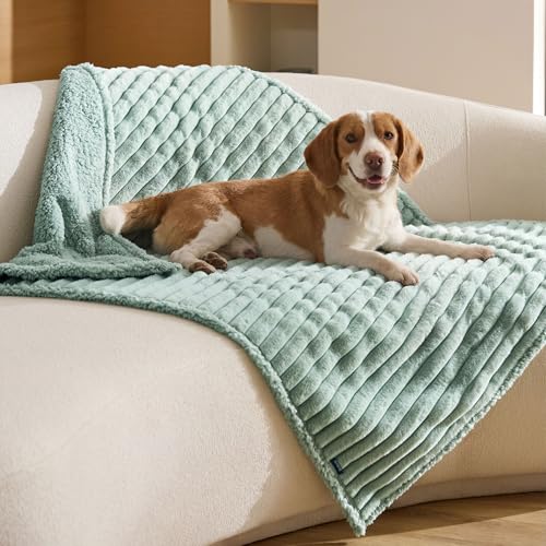 Bedsure ComfyFleece™ Waterproof Dog Blankets for Large Dogs - Soft Pet Cat Blanket Corduroy Fleece for Couch Protector Washable, Cozy Calming Reversible Furniture Protection,40"x50", Garden Green - color: Garden Green, size: L(40x50")-1pc
