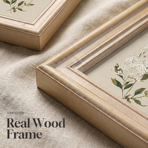 Framed Vintage Botanical Floral Wall Art Set of 6, Neutral Rustic Green Flower Canvas Prints, Cottagecore Farmhouse Minimalist Gallery Pictures for Bedroom Living Room Dining Room Wall Decor, 11x14 In - color: Neutral Beige, size: 11" W x 14" H x 6Pcs