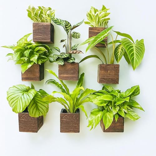 LaLaGreen Wood Planter Boxes for Plants (4x4 Inch, 8 Pack) Small Square Wall Mounted Planters for Indoor Plant, Herb Wooden Box Hanging Flower Pot Plant Holder Outdoor Fence Vertical Garden Home Decor - size: 4x4" x 8 pack