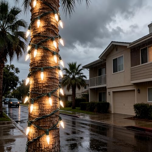 100 LED Warm White Green Wire Christmas String Lights, UL Certified and Commercial Decorative Lighting String 35 Ft, for Indoor Outdoor Christmas Trees, Patio, Trees. - color: Warm1