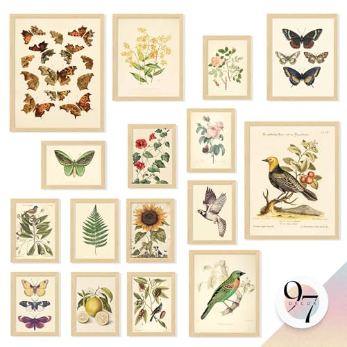 97 Decor FRAMED Vintage Botanical Wall Art Decor - Large Plant Posters For Room Aesthetic, Vintage Botanical Prints Nature Wall Decor, Floral Pictures Butterfly Bird Art For Home Bedroom (BEIGE FRAME) - size: FRAMED