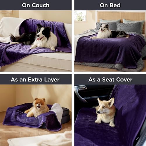Bedsure Waterproof Dog Blankets for Small Dogs - Small Cat Blanket Washable for Couch Protection, Sherpa Fleece Puppy Blanket, Soft Plush Reversible Throw Furniture Protector, 25"X35", Eggplant - color: Eggplant, size: S(25x35")