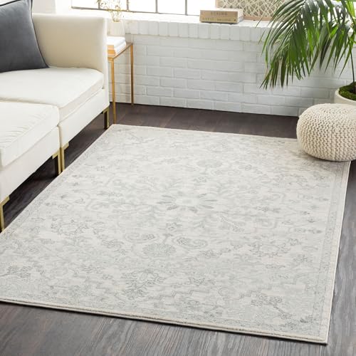 Livabliss Area Rugs - 2x3 Odelia Vintage Boho Gray Charcoal Area Rug for Living Room Bedroom - Floral Medallion Stain Resistant Carpet for Kitchen, Nursery, Office (2' x 3') - color: Beige, size: 2' x 3' (Rectangular)
