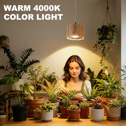 Hanging Grow Light, 30W LED Lamp with Timer for Indoor Plants | 4000K LED plant lamp with 15 ft cord, outlet timer, and boho paper rope shade for succulents, herbs, and low-light rooms. - color: Scallop