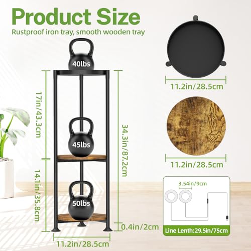 iDavosic.ly 3 Tier Plant Stand Indoor with Grow Light, 30 Inch Tall Vertical Corner Metal Flower Heavy Duty Pot Holder Shelf, Modern Black & Rustic Brown - Round - color: Black with 2 Lights, size: 3 Tiers