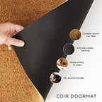 DII Hello Coir Fiber Doormat Non-Slip Durable Outdoor/Indoor, Pet Friendly, 18x30, Aqua - color: Aqua