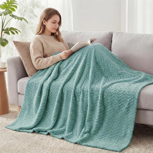Exclusivo Mezcla Fleece Bed Blanket Queen Size, Lightweight Jacquard for Spring Summer, Soft Cozy Breathable Blankets, Celadon, 90x90 Inches - color: Celadon, size: Queen ( 90x90 IN )