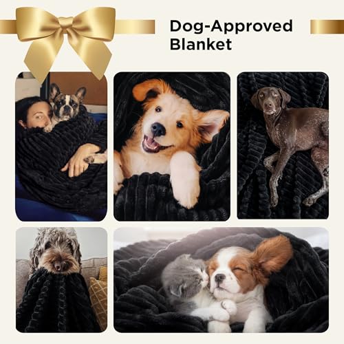 Bedsure GentleSoft King Size Blanket for Bed - Cozy Soft Blankets for Women, Cute Large Fleece Throws for Girls, Black, 108x90 Inches - color: Black, size: King