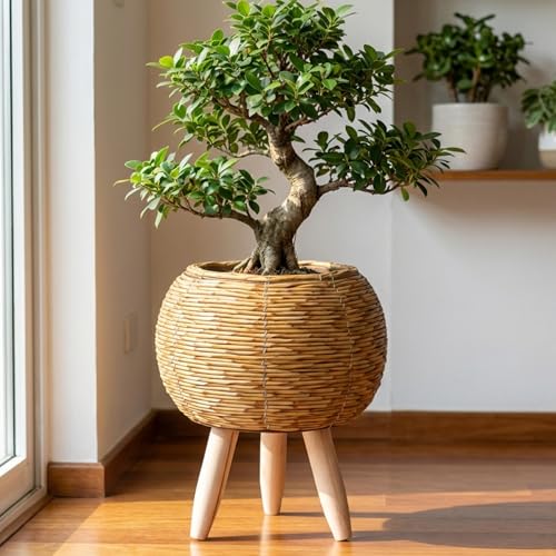 Flower Pots Boho Plant Stand, Wicker Basket Plant Stand with Wood Legs, Light Brown Rattan Plants Table for Home Decor, Office, Cafe