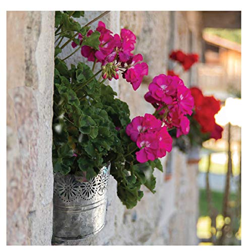 Lily's Home Indoor Outdoor Wall Mounted Planter with Floral Accents for Succulents, Cacti, Herbs, Faux Plants, Galvanized Metal. Plants Not Included