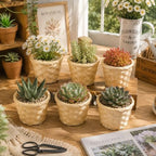 20pcs Small Baskets, Mini Woven Bamboo Basket, Desktop Small Flower Pot Wicker Basket Pencil Holder for Home Office Table Storage Party Favors Crafts Decor, 3.54 x 2.95 inch